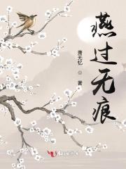 燕过无痕