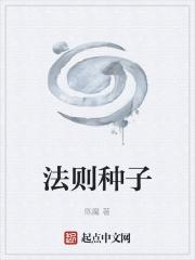 法则种子
