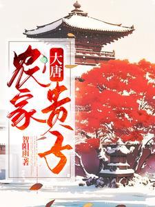 穿越大唐:农家子弟挣钱忙