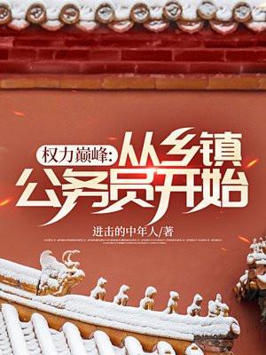 权力巅峰：从乡镇公务员开始