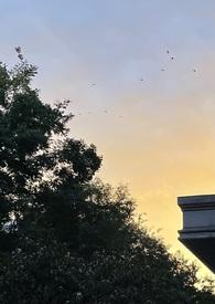 圣母的下场(np)