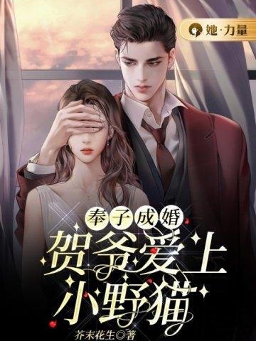 奉子成婚:贺爷爱上小野猫