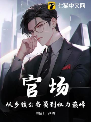 官场:从乡镇公务员到权力巅峰