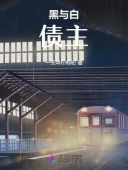 黑与白:债主