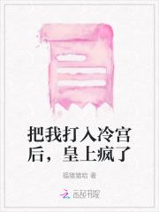 把我打入冷宫后,皇上疯了