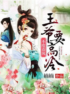 不度春风:王爷要高冷