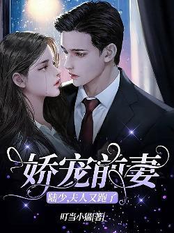 娇宠前妻:陆少,夫人又跑了