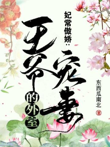 妃常傲娇:王爷的外室宠妻