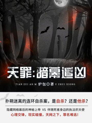 天罪：暗幕追凶