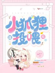 小狐狸投喂指南