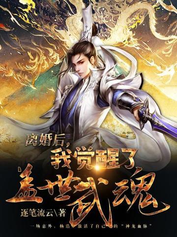 离婚后,我觉醒了盖世武魂