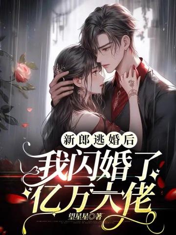 新郎逃婚后,我闪婚了亿万大佬
