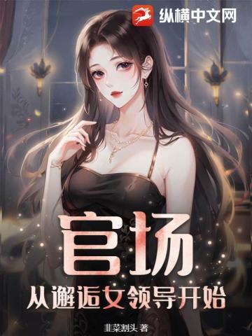 官场:从邂逅女领导开始