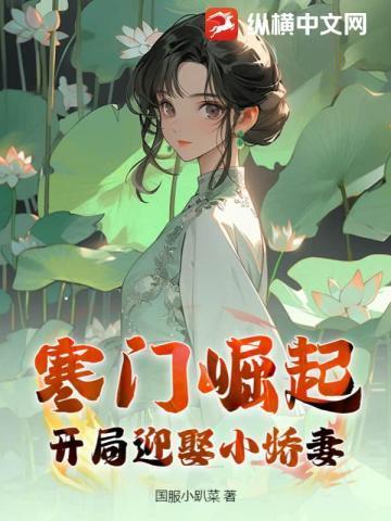寒门崛起:开局迎娶小娇妻