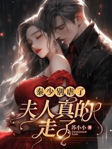 秦少别虐了，夫人真的走了