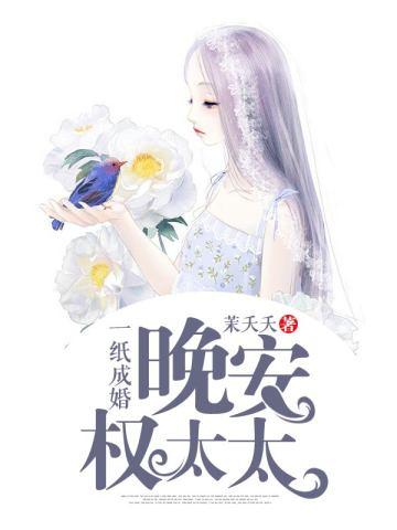 一纸成婚:晚安,权太太