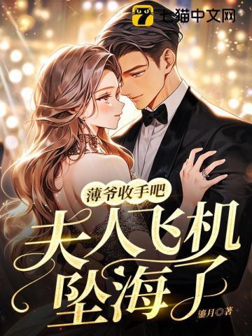 薄爷收手吧,夫人飞机坠海了
