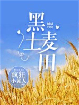 黑土麦田