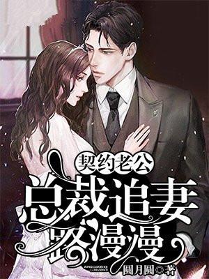 契约老公:总裁追妻路漫漫
