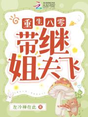 重生八零，带继姐夫飞