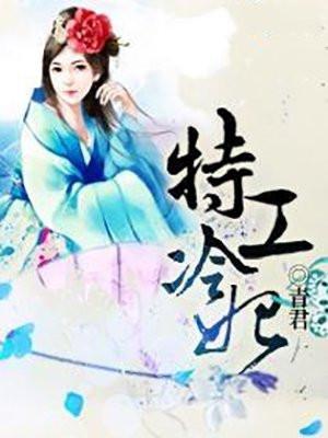 特工冷妃