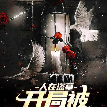 人在盗墓,开局被尹南风逆推
