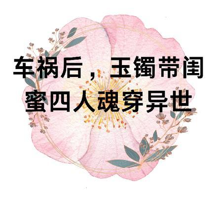 车祸后,玉镯带闺蜜四人魂穿异世