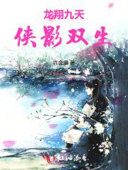 龙翔九天:侠影双生