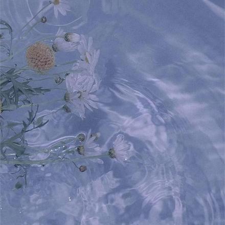 我死后，前男友他无动于衷