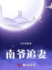 南爷追妻