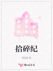 拾碎纪