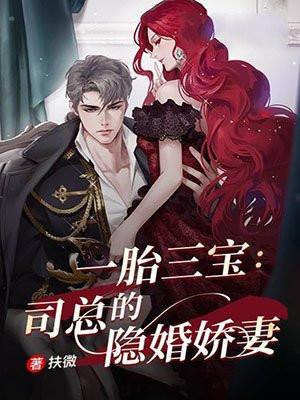一胎三宝:司总的隐婚娇妻