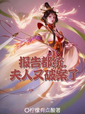 报告都统，夫人又破案了