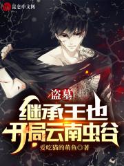 盗墓:继承王也,开局云南虫谷