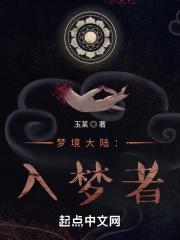 未知恶梦:入梦者