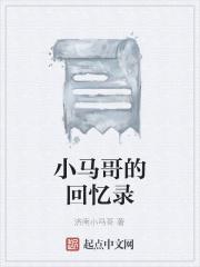 小马哥的回忆录