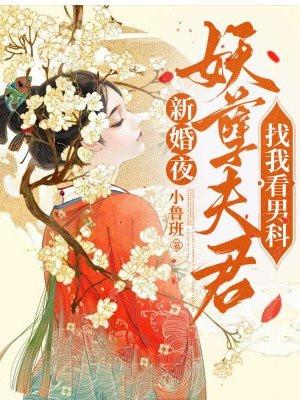 新婚夜,妖孽夫君找我看男科