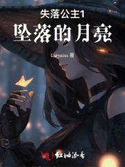 失落公主1坠落的月亮