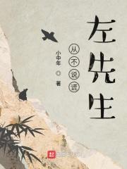 从不说谎左先生