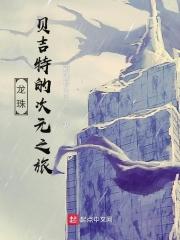 龙珠:贝吉特的次元之旅