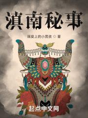 滇南秘事