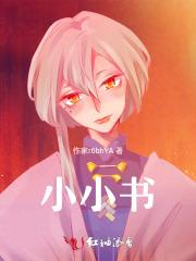 小小书