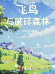 飞鸟与破碎森林