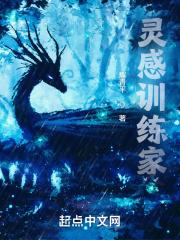 精灵:灵感训练家