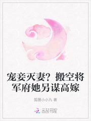 宠妾灭妻?搬空将军府她另谋高嫁
