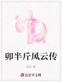 卯半斤风云传