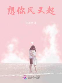 想你风又起