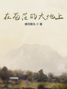 在苍茫的大地上