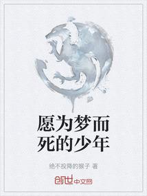 愿为梦而死的少年