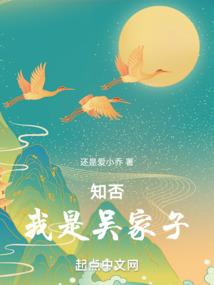 知否:我是吴家子
